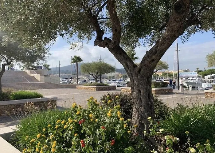 Nyaraló Mediterraneenne, Piscine Et Apercu - Fr-1-226-568 Sainte-Maxime